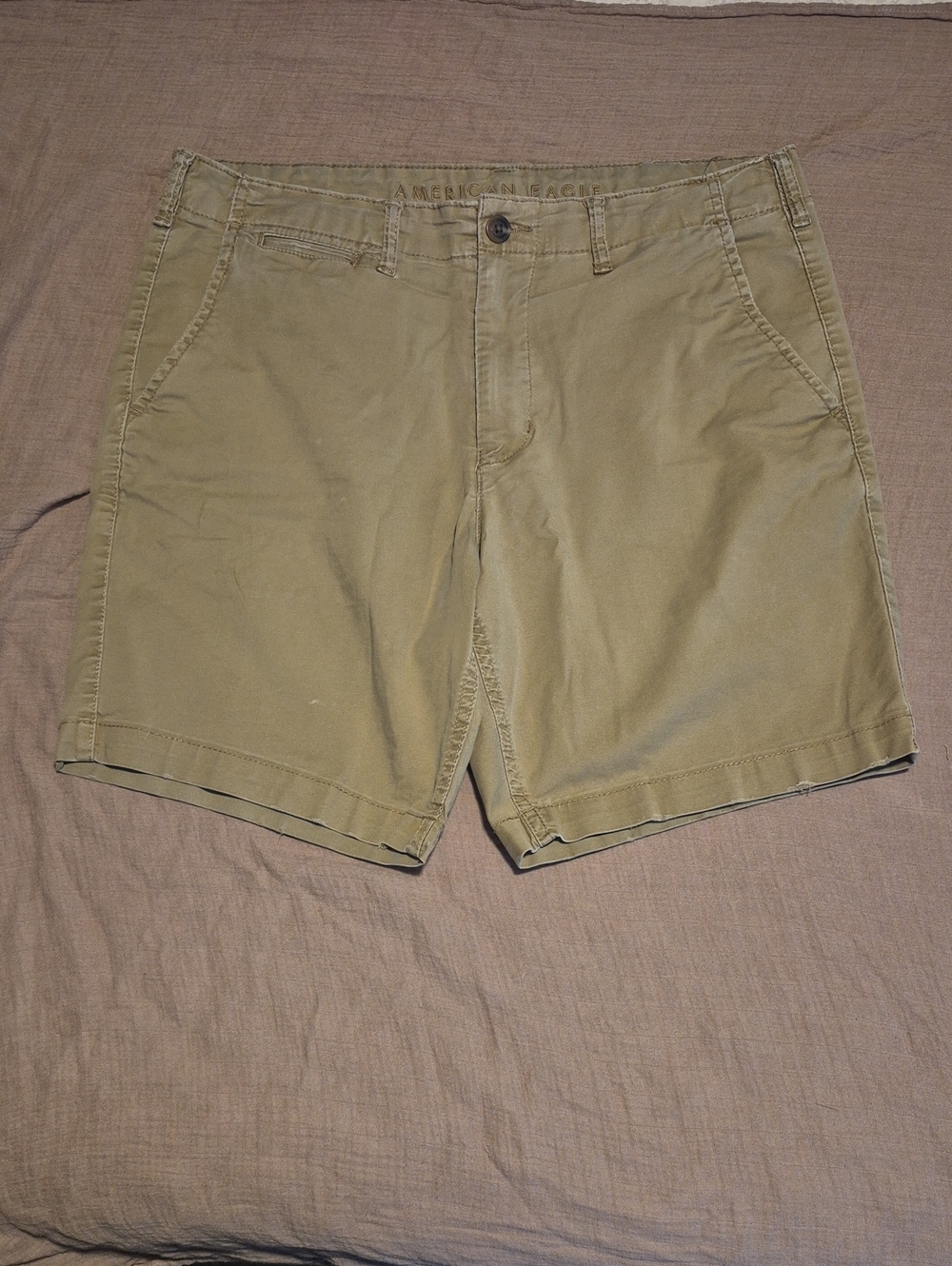 American Eagle Outfitters Men’s Olive-Tan Flat Front Shorts
